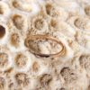 La bague Mini Louise en or rose 18K Fairmined